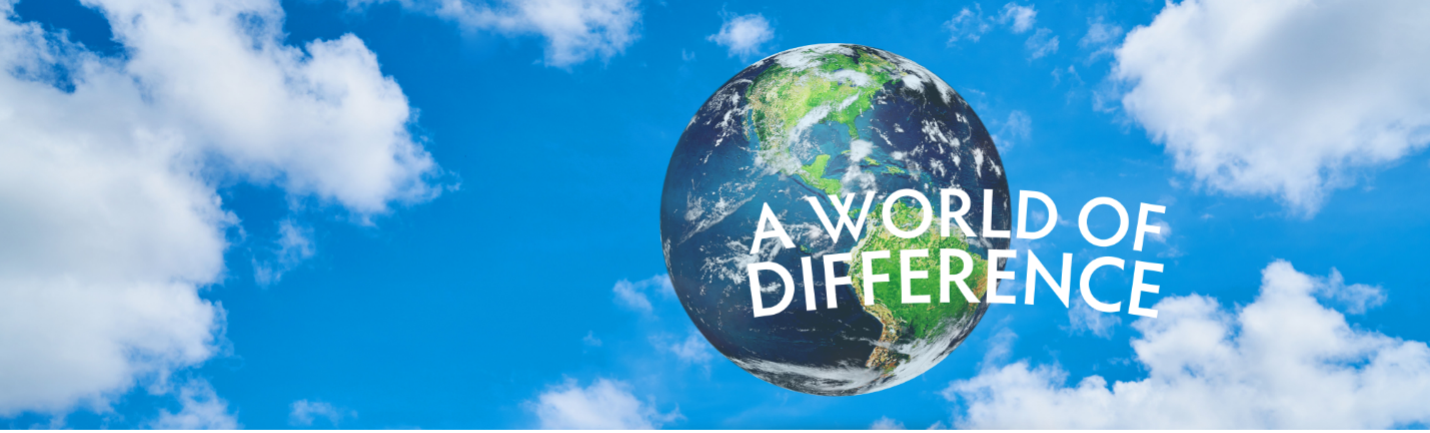 ZI-Make-World-of Difference